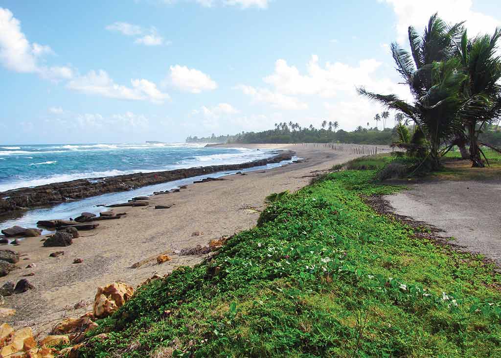 Playa Sardinera in Hatillo. Photo © Suzanne Van Atten.